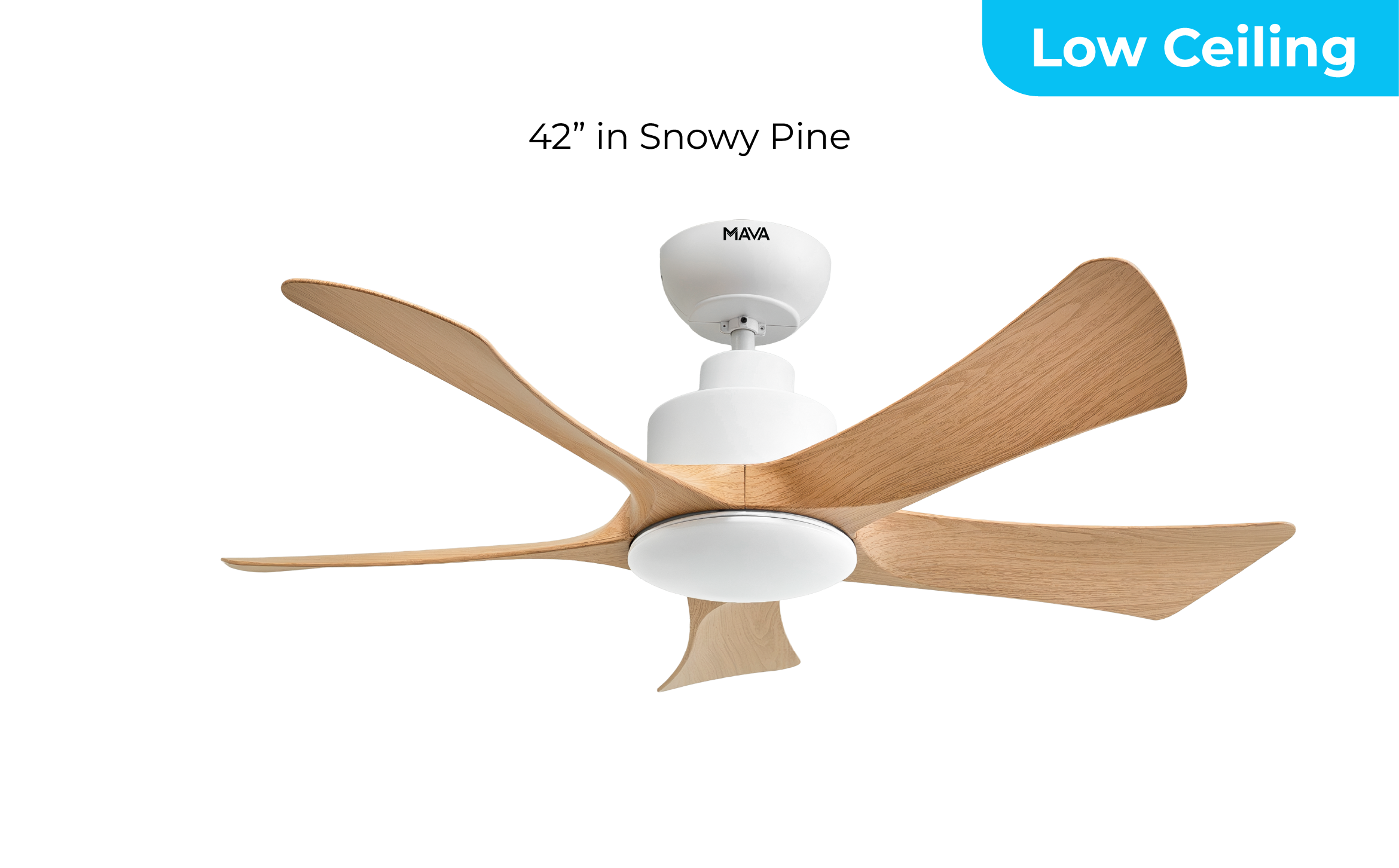 HUGGER 42 Pine