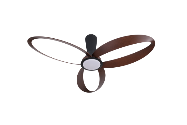 INFINITO Brown
