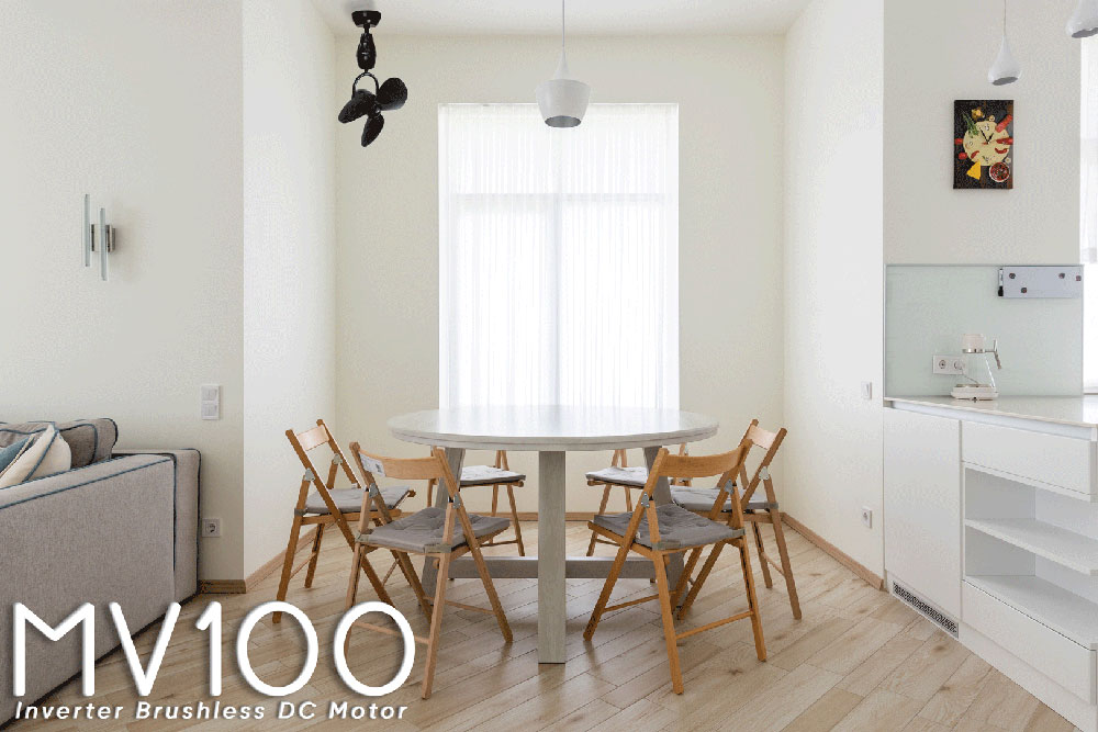 MV100 thumbnail 4