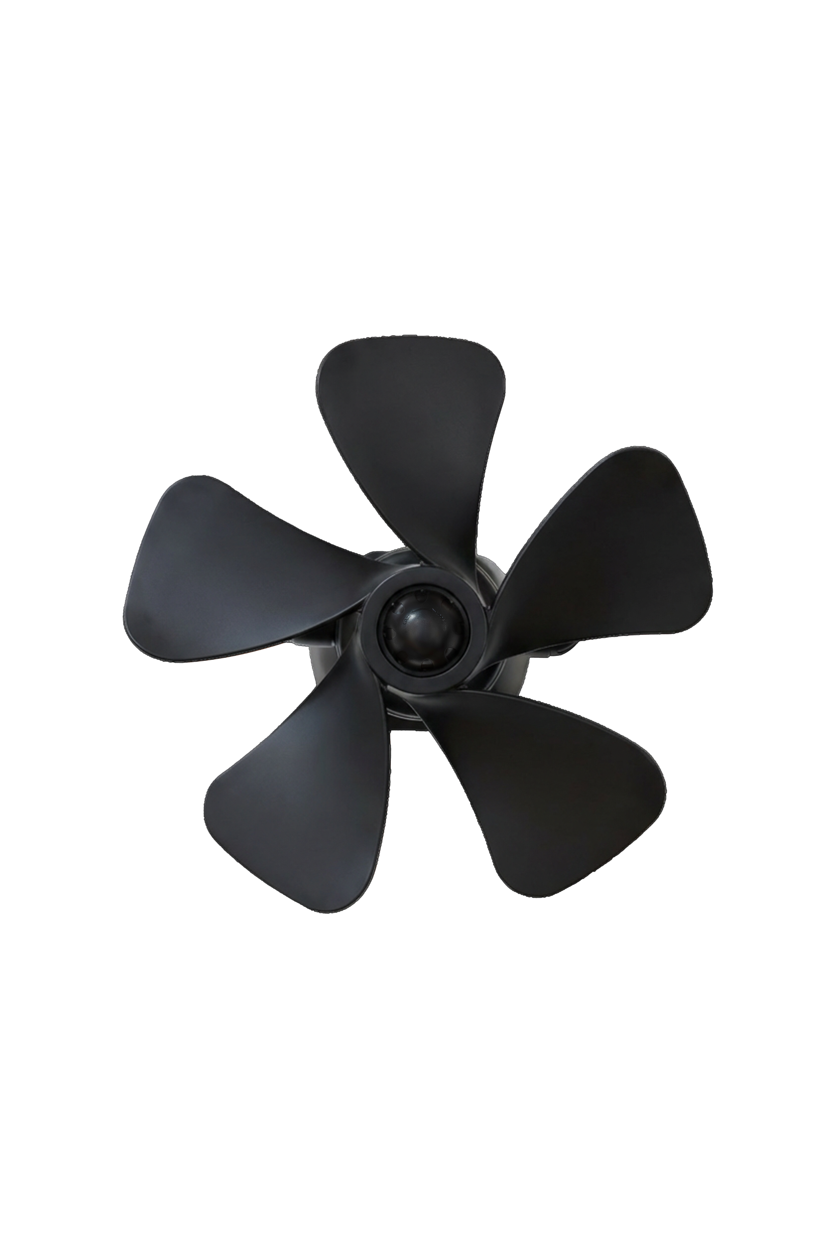 Wall Fan Black