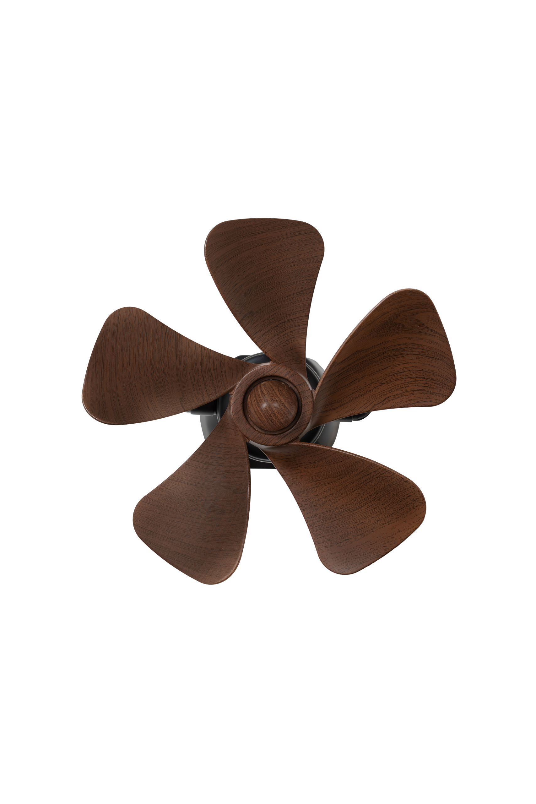 Wall Fan Walnut thumbnail 3