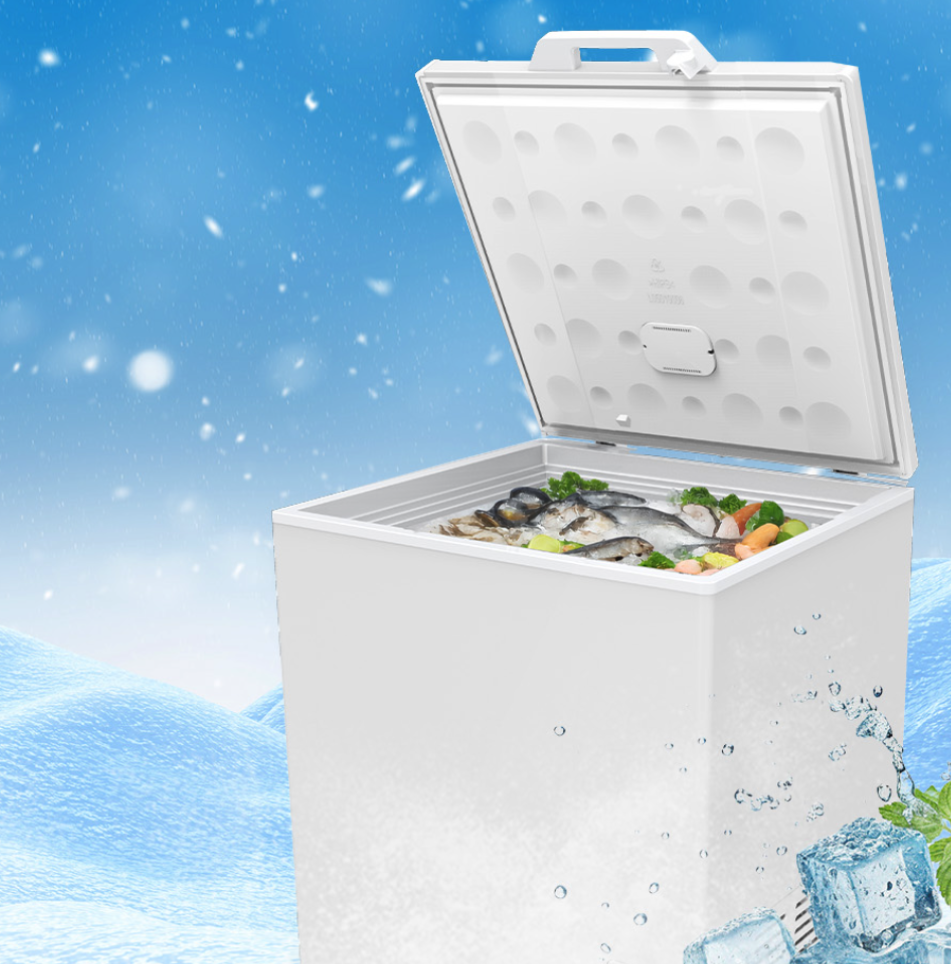 BD-110A Chest Freezer