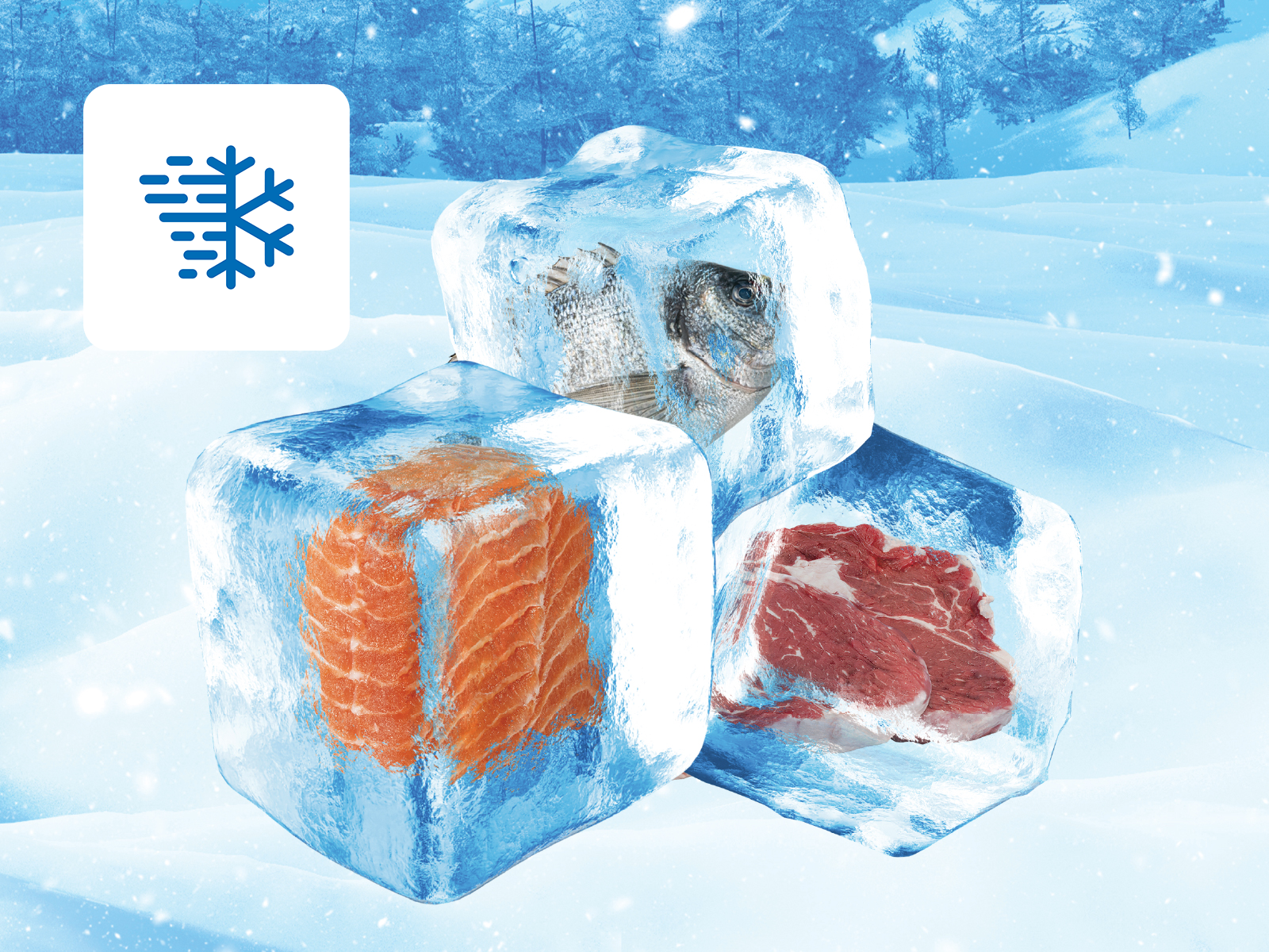 BD-110A Chest Freezer thumbnail 3